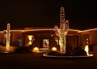 Holiday Light Wrapped Saguaro