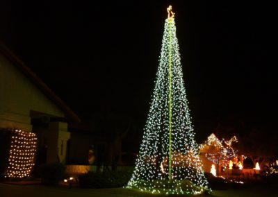 Christmas Light Tree