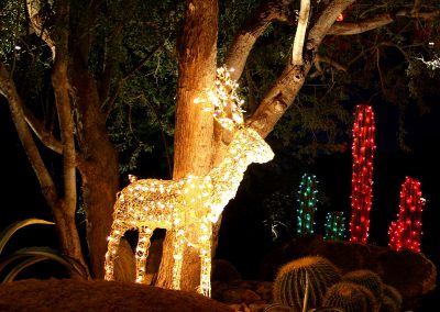 Christmas Reindeer Display